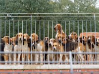 RAW 2016-04-06 10 17 DXO