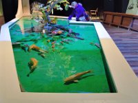 RAW 2016-04-07 13 04