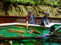 RAW 2016-04-07 13 06 DXO