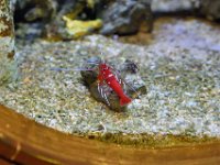 RAW 2016-04-07 13 51