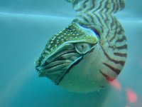 RAW 2016-04-07 13 56