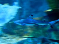 RAW 2016-04-07 13 59 02