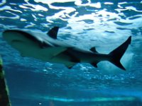 RAW 2016-04-07 13 59 03