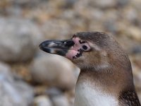 RAW 2016-04-05 09 23