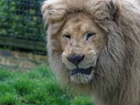 RAW 2016-04-05 09 27 03 DXO