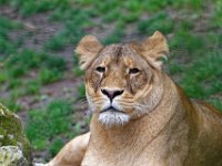 RAW 2016-04-05 09 32 03 DXO