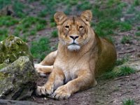 RAW 2016-04-05 09 32 07 DXO