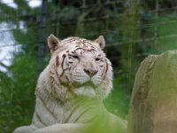 RAW 2016-04-05 09 41 02 DXO