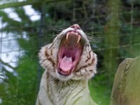 RAW 2016-04-05 09 41 09 DXO