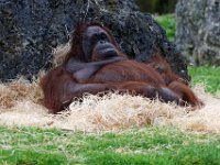 RAW 2016-04-05 09 49 02 DXO