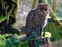 RAW 2016-04-05 09 55 01 DXO