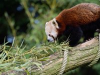 RAW 2016-04-05 09 57