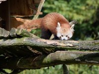 RAW 2016-04-05 09 57 02