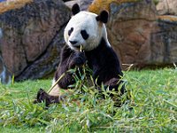 RAW 2016-04-05 10 07 03 DXO