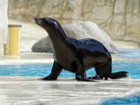 RAW 2016-04-05 10 39 02 DXO