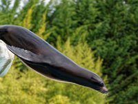 RAW 2016-04-05 10 39 03 DXO