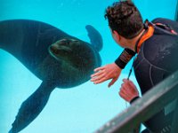 RAW 2016-04-05 10 50 02 DXO