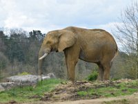 RAW 2016-04-05 12 33 01