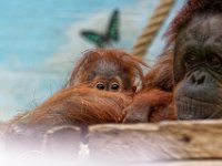 RAW 2016-04-05 12 59 02 DXO