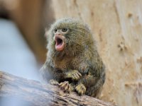 RAW 2016-04-05 13 02 03