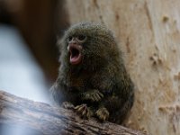 RAW 2016-04-05 13 02 03 DXO