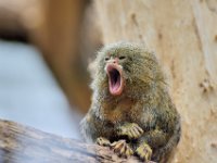 RAW 2016-04-05 13 02 04