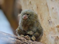 RAW 2016-04-05 13 02 06