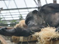 RAW 2016-04-05 13 03