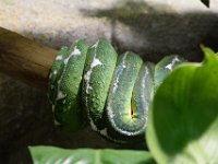 RAW 2016-04-05 13 07