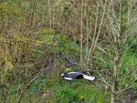 RAW 2016-04-05 14 09 03 DXO