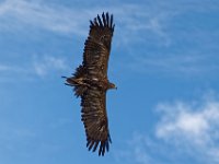 RAW 2016-04-05 14 16 05 DXO