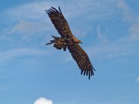 RAW 2016-04-05 14 17 DXO