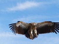 RAW 2016-04-05 14 27 DXO