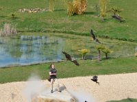 RAW 2016-04-05 14 28 01