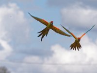 RAW 2016-04-05 14 29 01 DXO