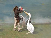 RAW 2016-04-05 14 32 01