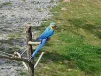 RAW 2016-04-05 14 33 06