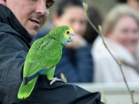 RAW 2016-04-05 14 40 02