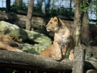 RAW 2016-04-05 15 16