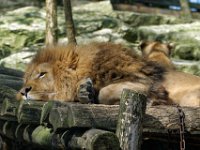 RAW 2016-04-05 15 16 02 DXO