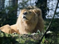 RAW 2016-04-05 15 19 01