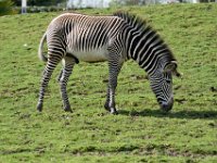 RAW 2016-04-05 15 23