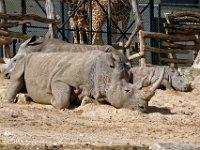 RAW 2016-04-05 15 24 01 DXO