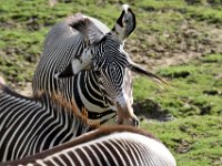 RAW 2016-04-05 15 30 01