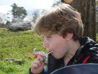 RAW 2016-04-05 15 46 01