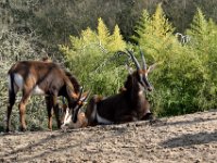 RAW 2016-04-05 15 48 02