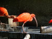 RAW 2016-04-05 16 24 01 DXO