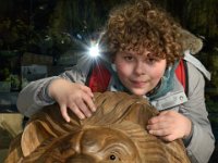 RAW 2016-04-05 17 02 04