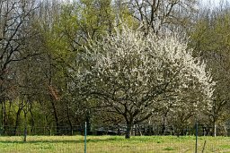 RAW 2016-04-07 09 15 01 DXO