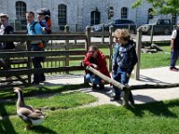 RAW 2015-05-24 12 33 03